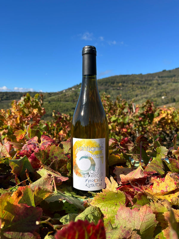 Lantignié "Les Cadoles" - Chardonnay