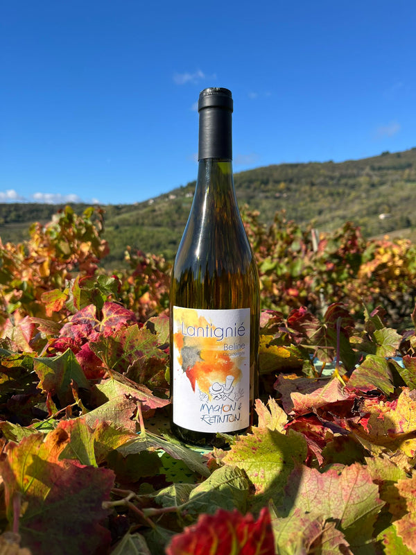 Lantignié "Beline" - Chardonnay