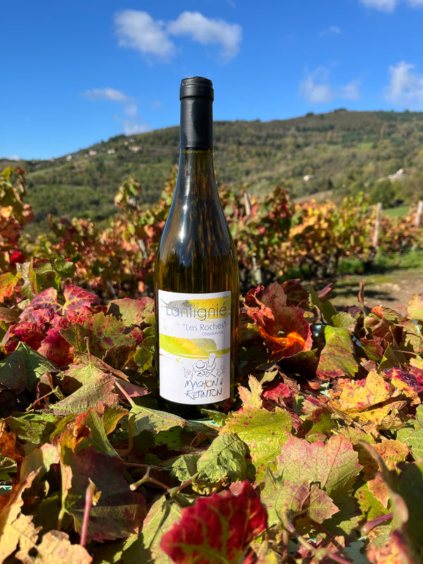 Lantignié "Les Roches" - Chardonnay