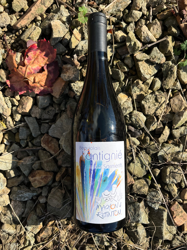 Lantignié "Les Sarments" - Beaujolais
