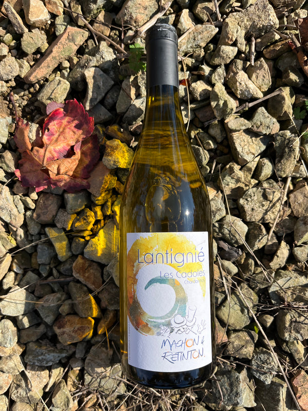 Lantignié "Les Cadoles" - Chardonnay