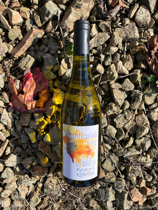 Lantignié "Beline" - Chardonnay