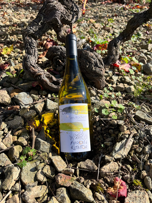 Lantignié "Les Roches" - Chardonnay