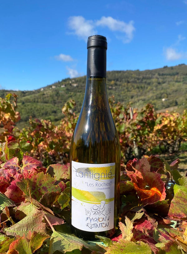 Lantignié "Les Roches" - Chardonnay