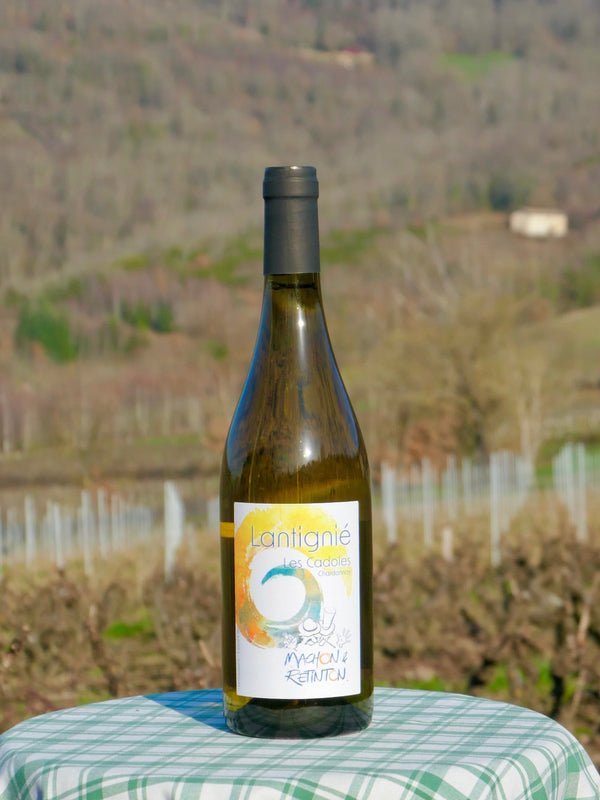 Lantignié - "Les Cadoles" - Chardonnay